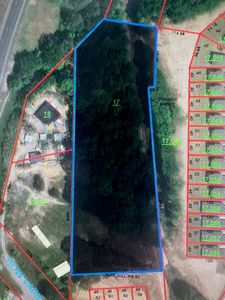 0 New Dripping Springs Rd, Cullman, AL, 35055