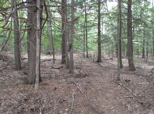 38 Tanglewood Dr, Union, NH 03887