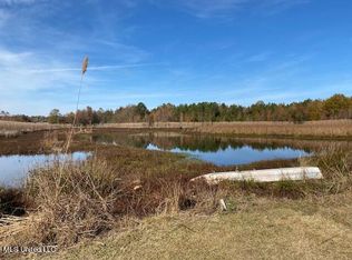 4827 E Newport Rd, Pickens, MS 39146