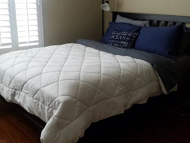 Tiger Ln — Photo 1