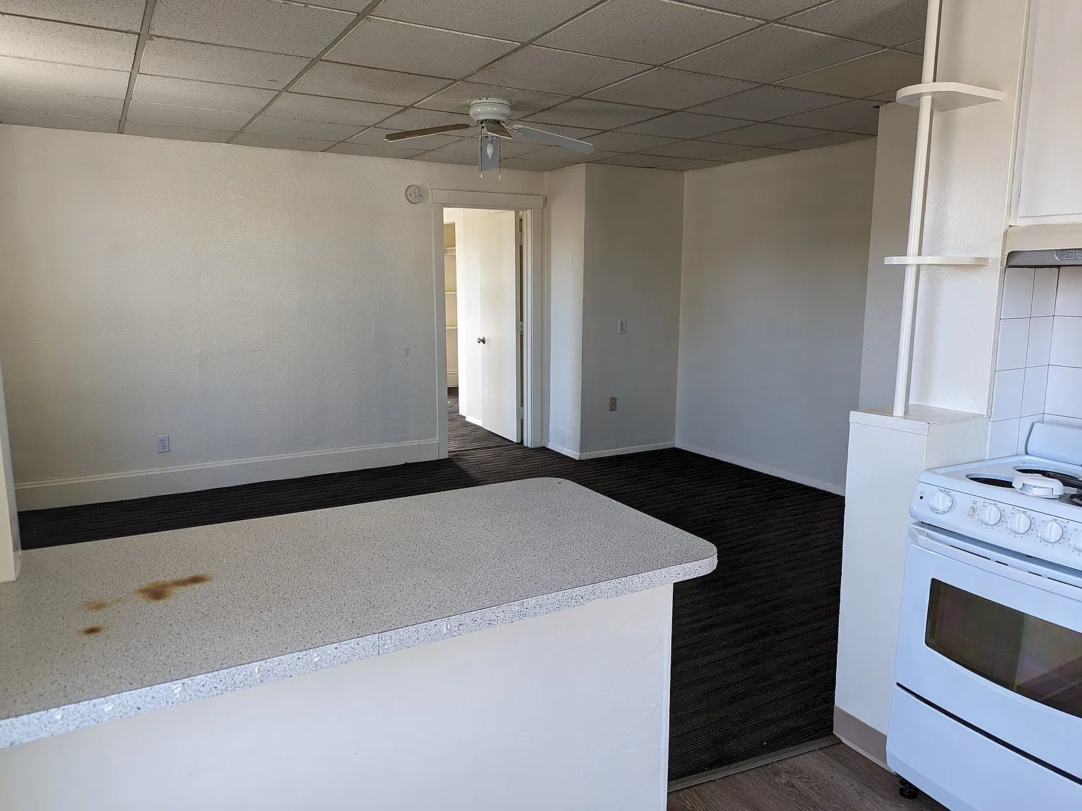 1 bed, 483 sqft, $900 — Photo 3
