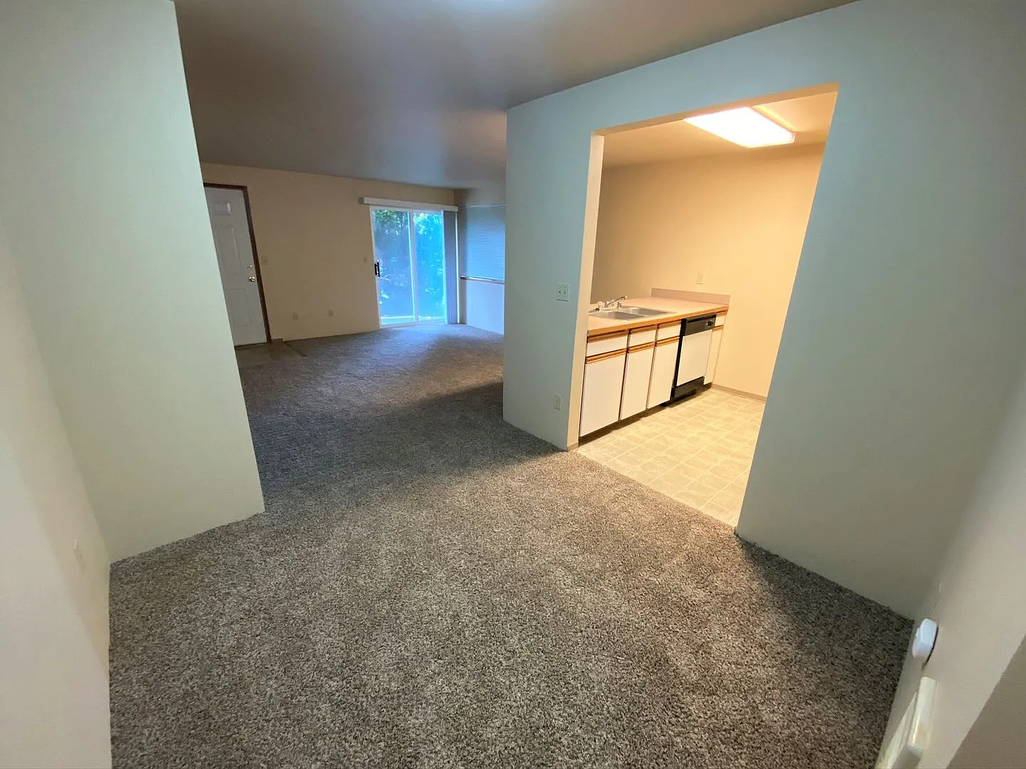 806 E Juniper Ave. — Photo 3