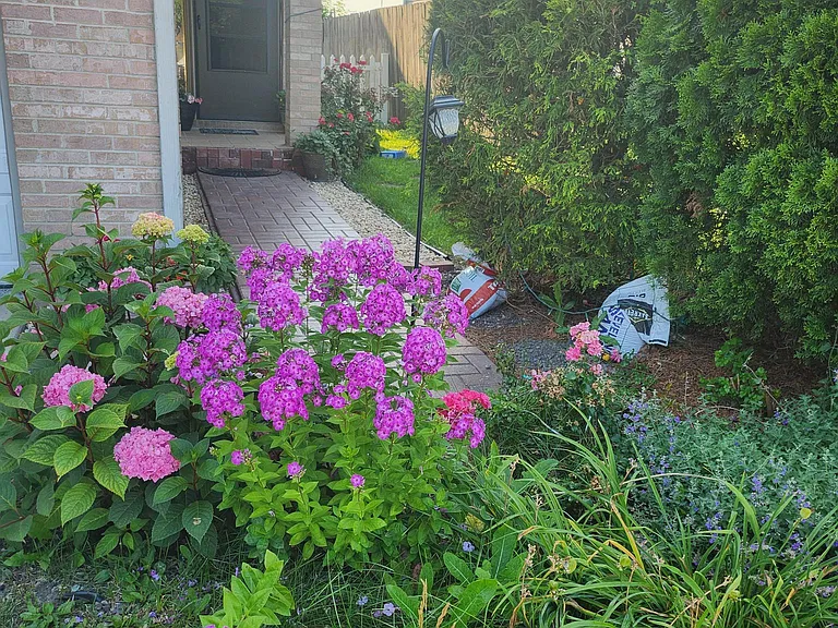 10067 Adams St — Photo 3