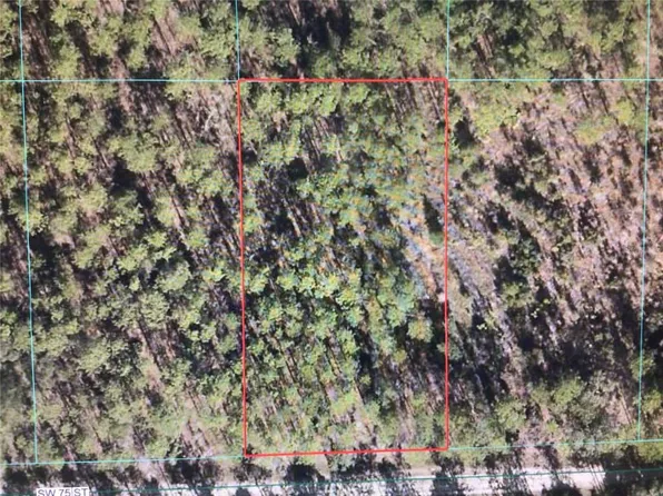 0 SW 75th St, Dunnellon, FL 34432