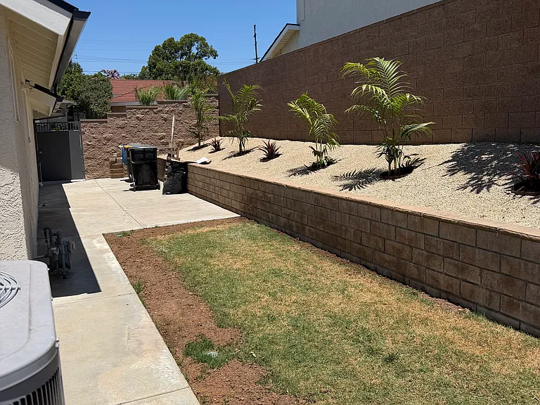 Side yard