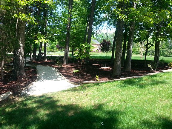 Path by front woods/driveway