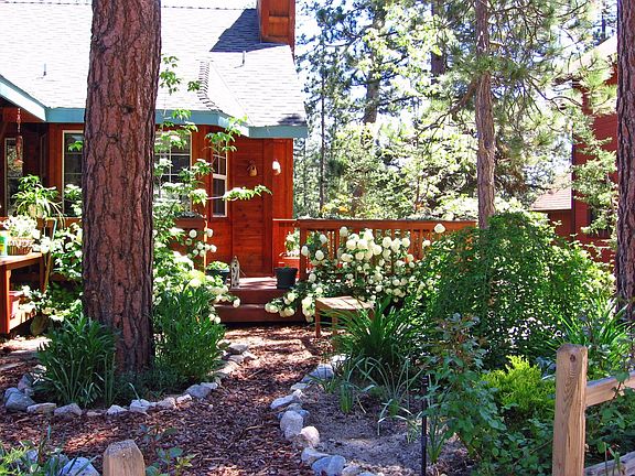 front yard 2007