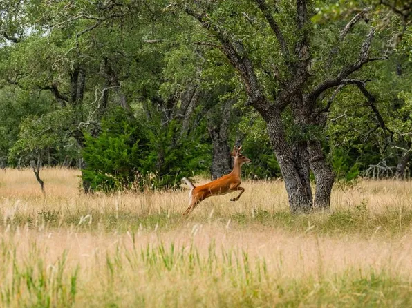 LOT 33 Nott Branch Rd, Harper, TX 78631