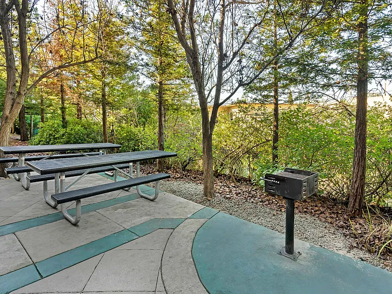 Picnic Area