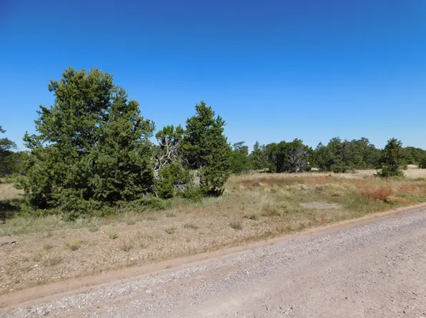 43 Brooks Ln #112, Quemado, NM 87829