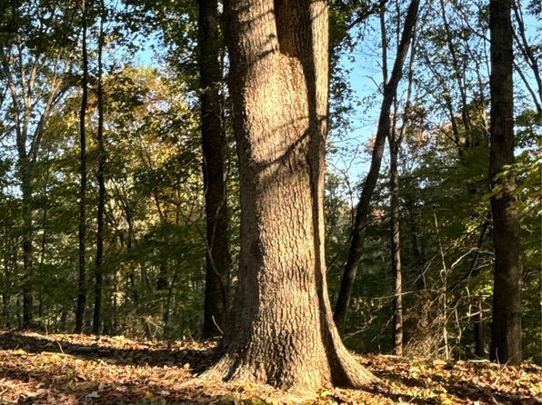Straight Creek Rd LOT WP001, Hillsboro, OH 45133