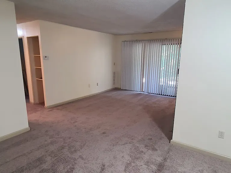LV sliding door area