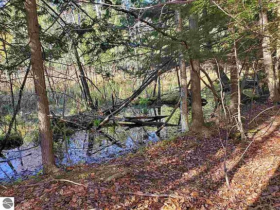 3rd image of 0 State Park Hwy