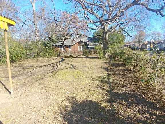 back yard