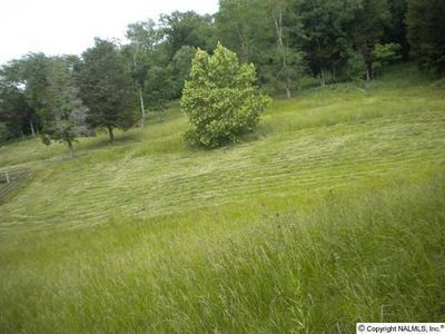 128 Cooper Branch Rd, Mulberry, TN, 37359