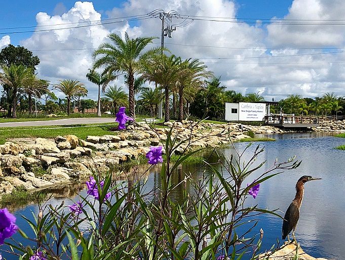 2nd image of 105 Palm Dr