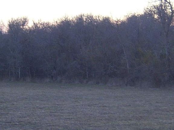 5th image of 6023 Fm 2990