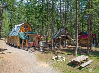 11 Mink Rd, Mazama, WA 98833