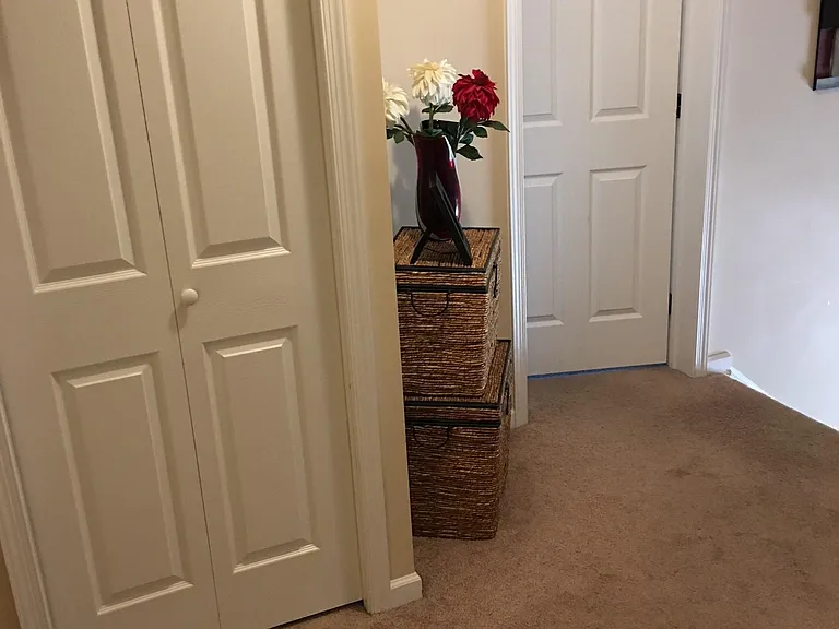 Upstairs hallway landing. Notice the hall closet.