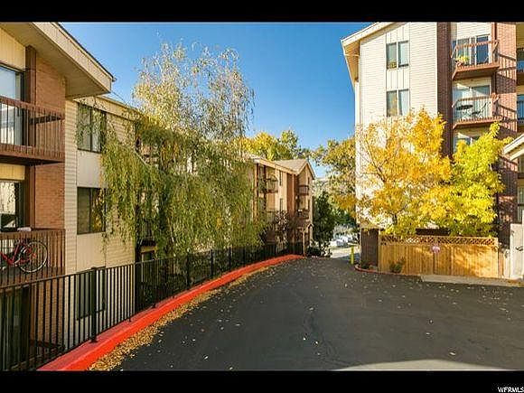 Driveway into our complex