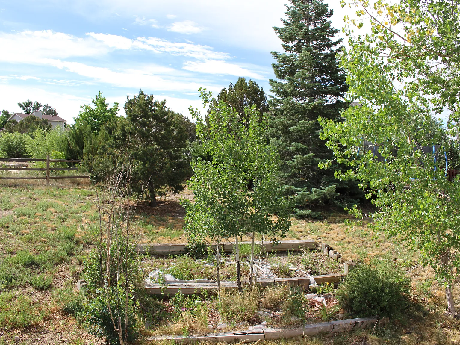 4 bed, 2018 sqft, $2,500 — Photo 4