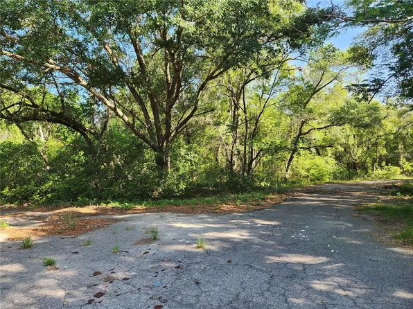 0 Guava Terrace Pass #1, Ocklawaha, FL 32179