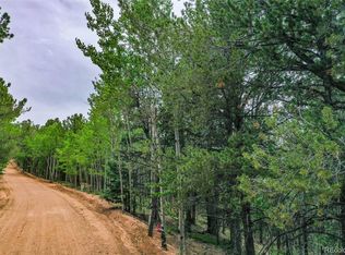 773 Timber Ridge Rd, Divide, CO 80814