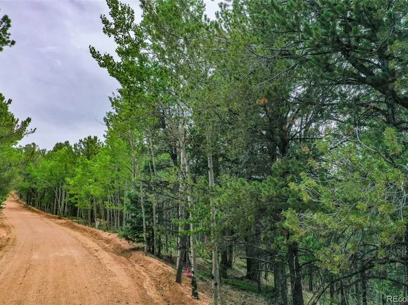 773 Timber Ridge Road, Divide, CO 80814