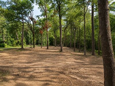 163 Ermine Ct, Mount Vernon, TX, 75457
