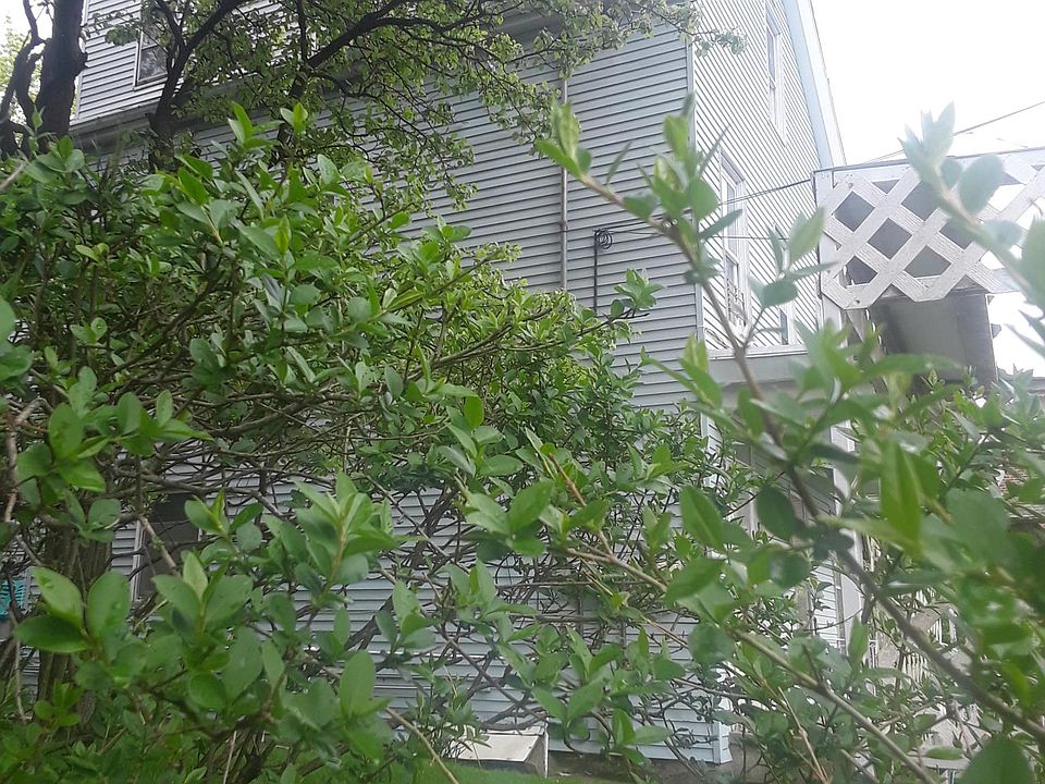 1st image of 38 Garfield St