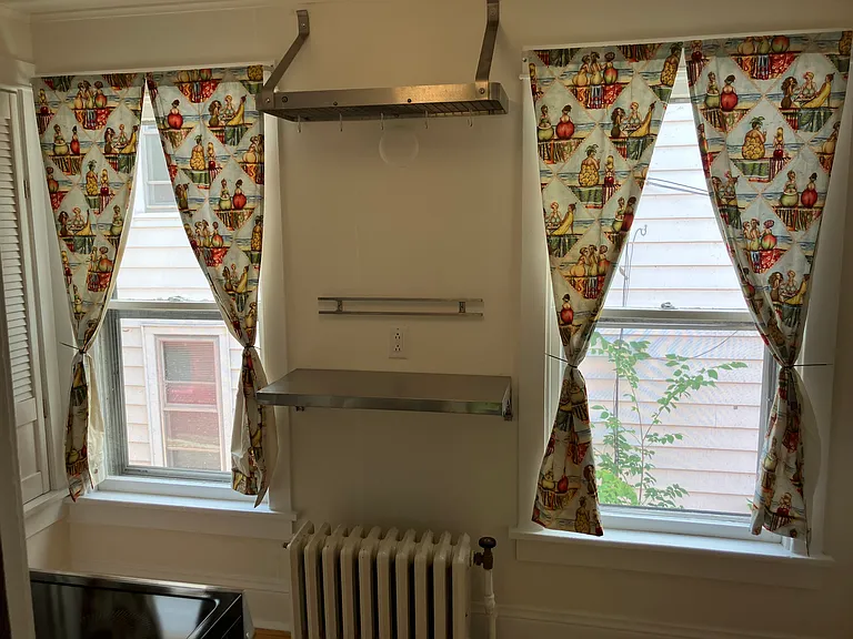 917 Williamson St #RESIDENTIAL APARTMEN — Photo 5