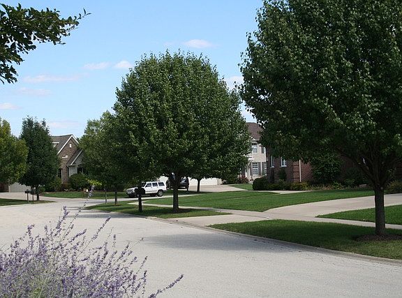 5th image of 24664 W Coachford Ct