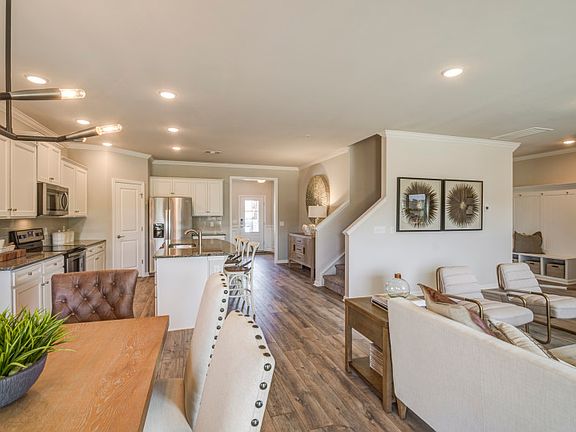 Model Representation