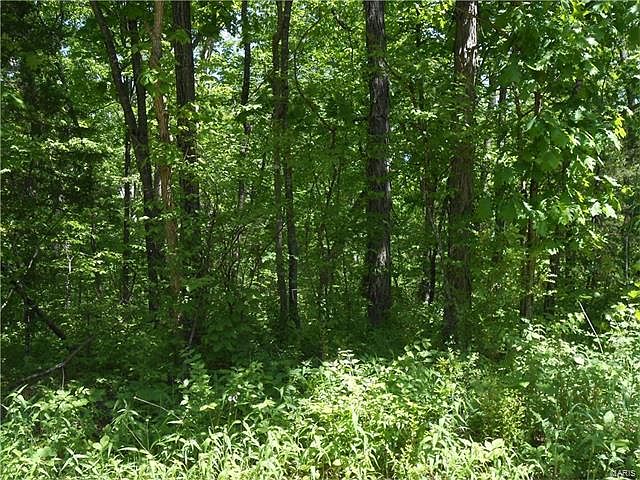 2nd image of Pine Tree Ln