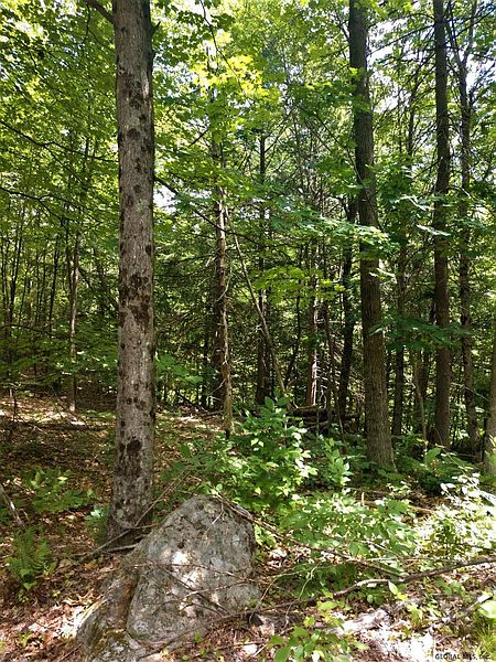 5th image of 0 LIDDLE HARRIS Road