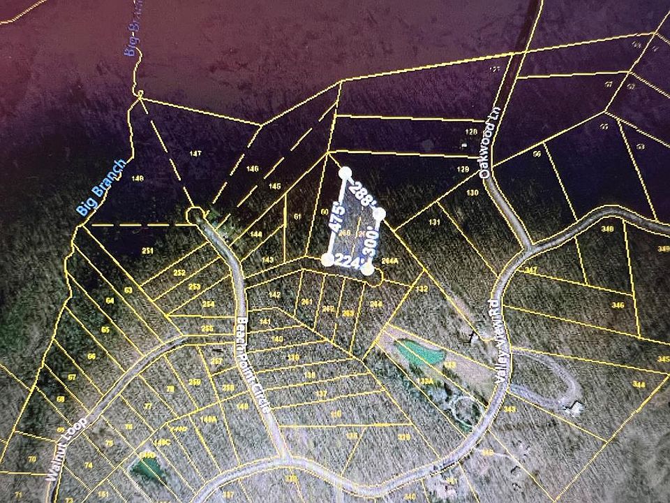 2nd image of Beech Point Dr