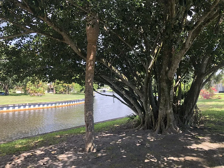 Huge Privacy and Shade Tree Back Yard on bank of Canal