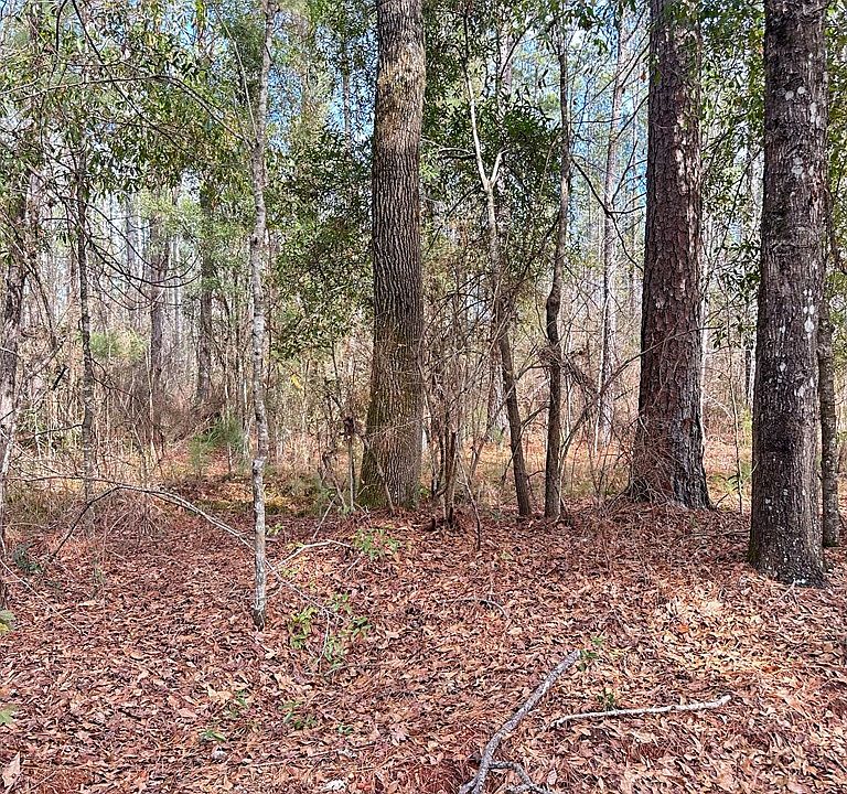 2nd image of 0 Cook Rd
