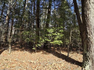 Lot 11C-1 NH Route 140, Alton, NH, 03809