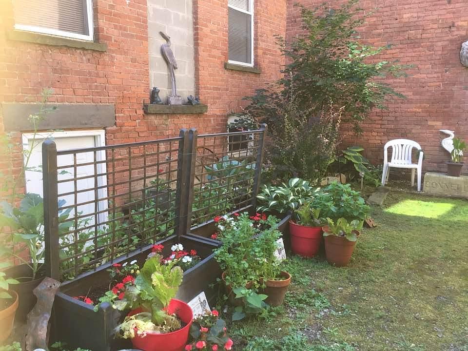 Our courtyard