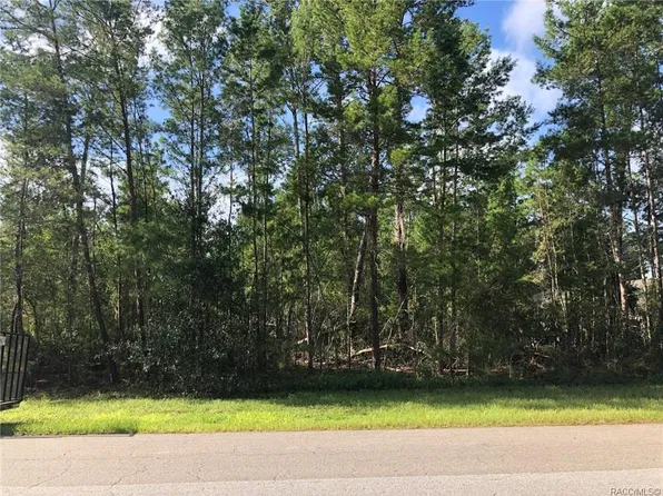 57 Village Center Dr, Homosassa, FL 34446