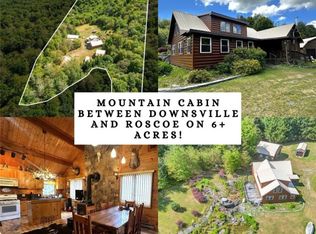 588 Buck Mountain Rd, Downsville, NY 13755