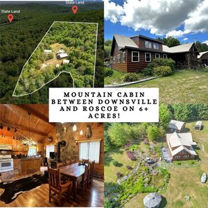 588 Buck Mountain Rd, Downsville, NY, 13755