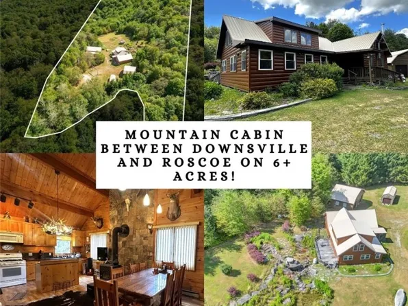 588 Buck Mountain Rd, Downsville, NY 13755