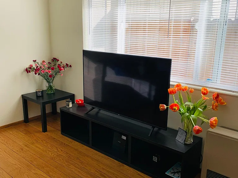 living room entertainment system (staging)