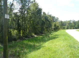 2081 Buck Swamp Rd, Brunswick, GA 31523