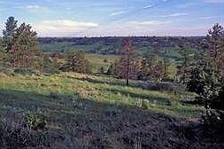5th image of 3947 Pa Hollow Trl