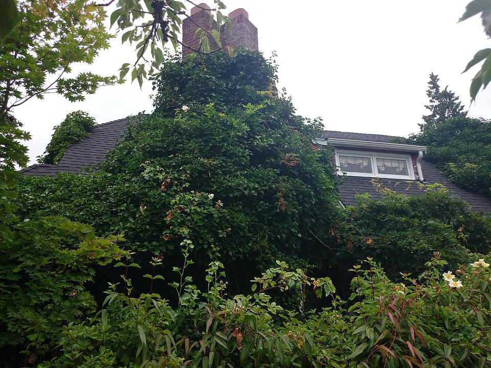2nd image of 4006 SW Stevens St