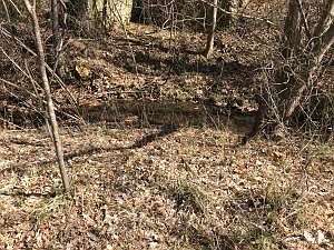 2nd image of 507 Marion County #3001