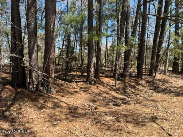 Lot 11 Birchwood Drive, Nashville, NC 27856